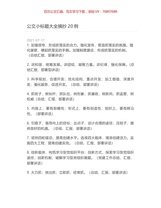 公文小标题大全摘抄20例.docx