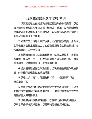 -巡视整改提纲及排比句50例.docx