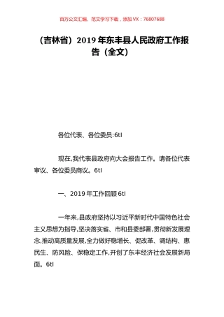 （吉林省）2019年东丰县人民政府工作报告（全文）.doc