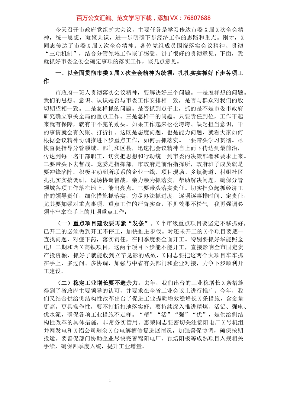 在市政府党组扩大会议上的讲话.docx_第1页