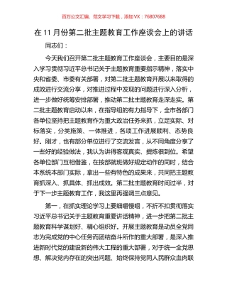 在11月份第二批主题教育工作座谈会上的讲话.docx