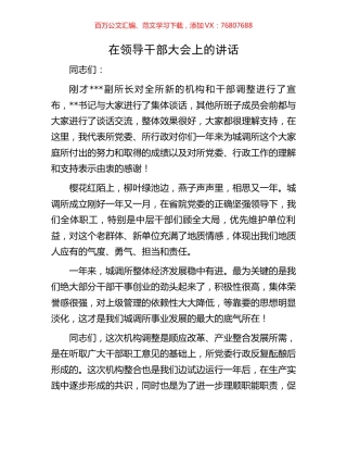 在领导干部大会上的讲话.docx