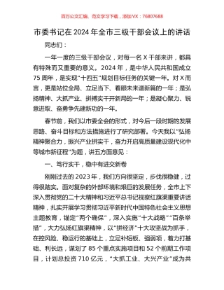 市委书记在2024年全市三级干部会议上的讲话.docx