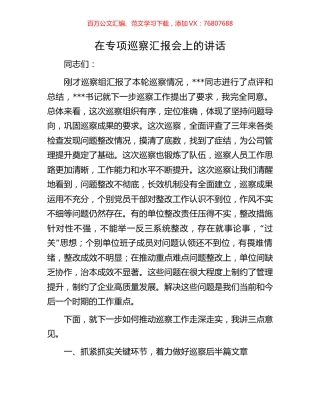 在专项巡察汇报会上的讲话.docx