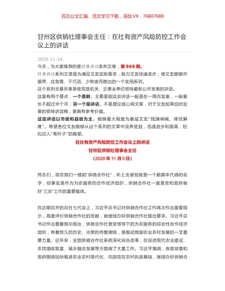 甘州区供销社理事会主任：在社有资产风险防控工作会议上的讲话.docx