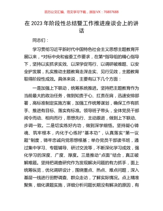 在2023年阶段性总结暨工作推进座谈会上的讲话.docx
