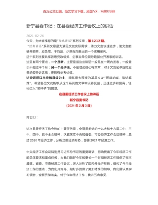新宁县委书记：在县委经济工作会议上的讲话.docx