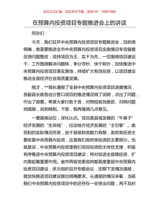 在预算内投资项目专题推进会上的讲话.docx