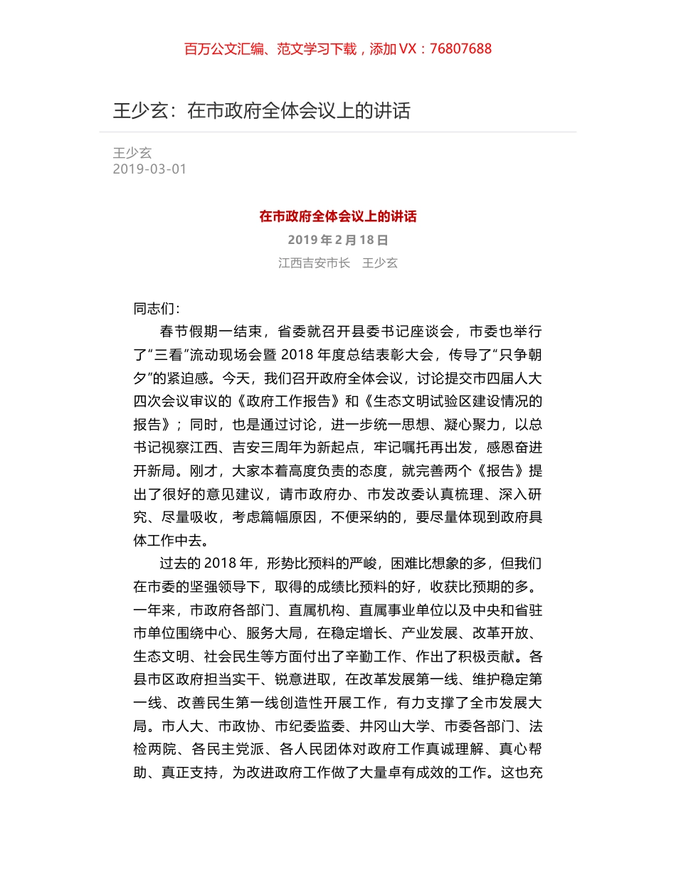 王少玄：在市政府全体会议上的讲话.docx_第1页