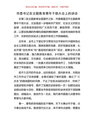 市委书记在主题教育青年干部大会上的讲话.docx