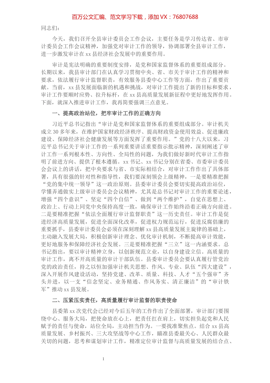 在全县审计委员会工作会议上的讲话​​​​​​​​​​​​​​​​​​.docx_第1页