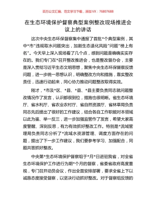 在生态环境保护督察典型案例整改现场推进会议上的讲话.docx