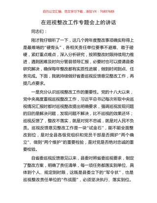 在巡视整改工作专题会上的讲话.docx