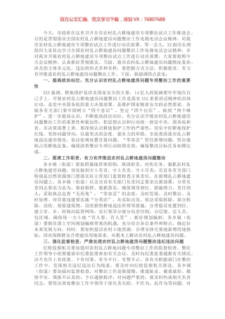 全市农村乱占耕地建房问题专项整治试点工作推进会讲话.docx