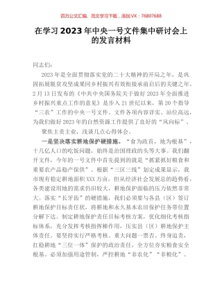 在学习2023年中央一号文件集中研讨会上的发言材料.docx