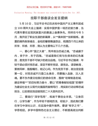 挂职干部座谈会发言提纲.docx