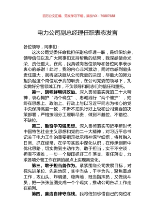 电力公司副总经理任职表态发言.docx