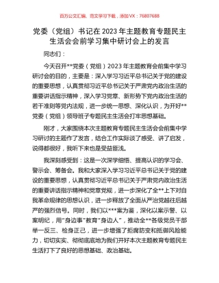 党委（党组）书记在2023年主题教育专题民主生活会会前学习集中研讨会上的发言.docx