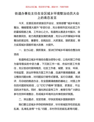 街道办事处主任在全区城乡环境整治动员大会上的表态发言.docx