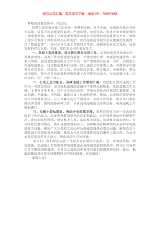 国企书记在巡视工作会上的表态发言.docx