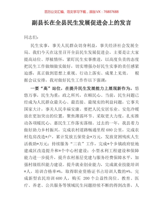 副县长在全县民生发展促进会上的发言.docx