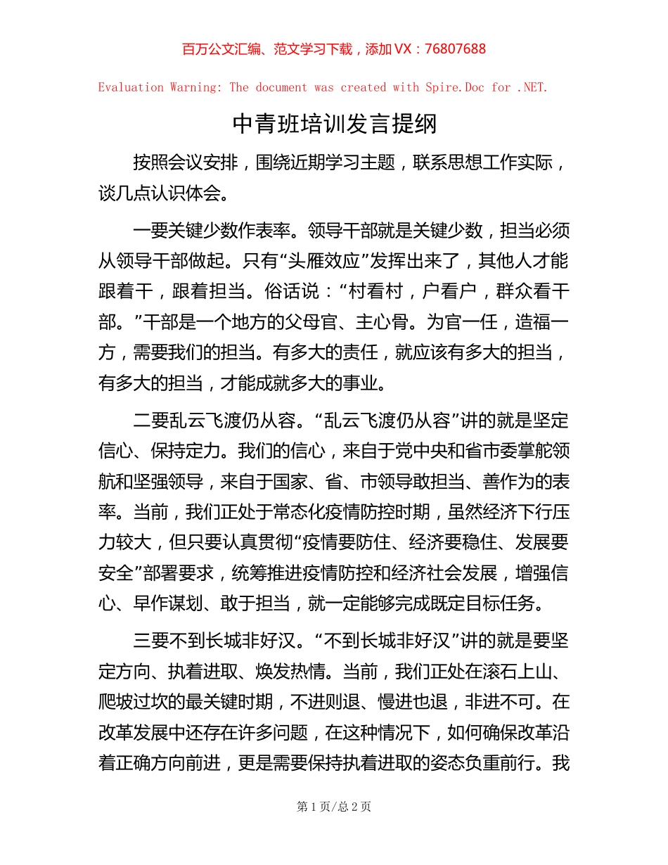 中青班培训发言提纲.docx_第1页