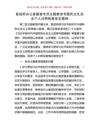 县政府办公室督查专员主题教育专题民主生活会个人对照检查发言提纲.docx