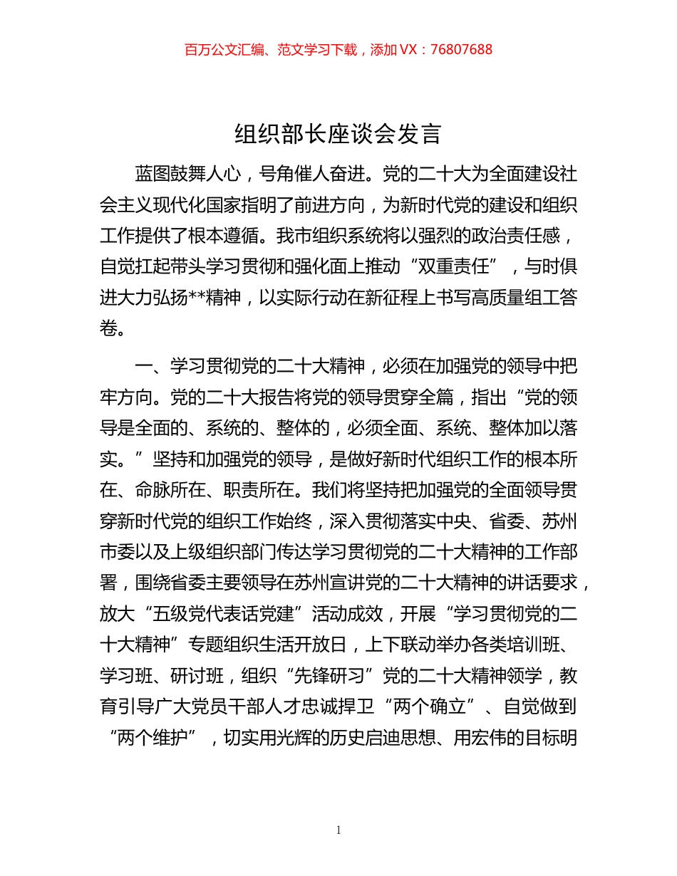 20221121-组织部长座谈会发言.docx_第1页