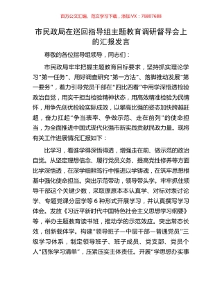 市民政局在巡回指导组主题教育调研督导会上的汇报发言.docx
