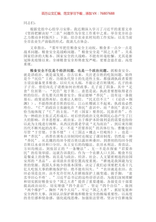 研讨发言：始终牢记粮食安全这个“国之大者”.docx