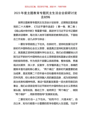 2023年度主题教育专题民主生活会会前研讨发言材料.docx