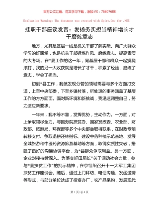 挂职干部座谈发言：发扬务实担当精神增长才干磨炼意志【稿子汇】.docx
