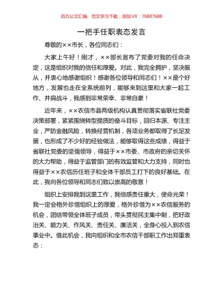 一把手任职表态发言.docx