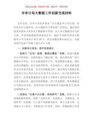 市审计局大数据工作创新交流材料.docx