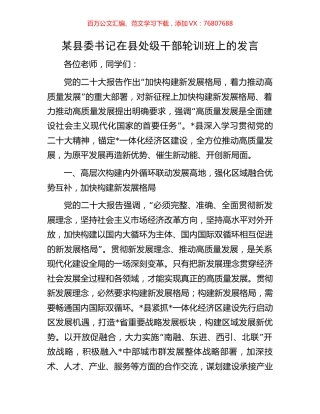 某县委书记在县处级干部轮训班上的发言.docx