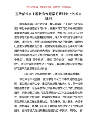宣传部长在主题教育专题学习研讨会上的发言提纲.docx