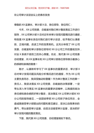 在公司审计谈话会议上的表态发言.docx