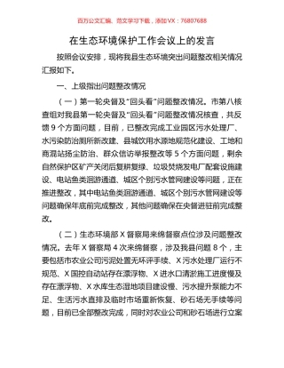 在生态环境保护工作会议上的发言.docx