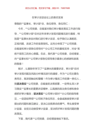 在审计谈话会议上的表态发言.docx
