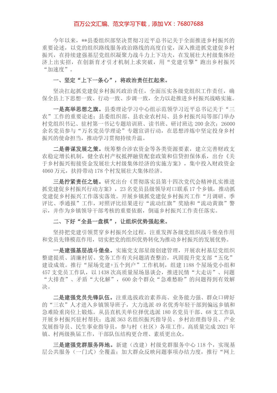党建引领乡村振兴典型发言.docx_第1页