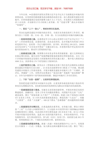 党建引领乡村振兴典型发言.docx