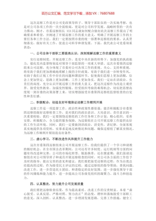 国企巡察动员发言材料.docx