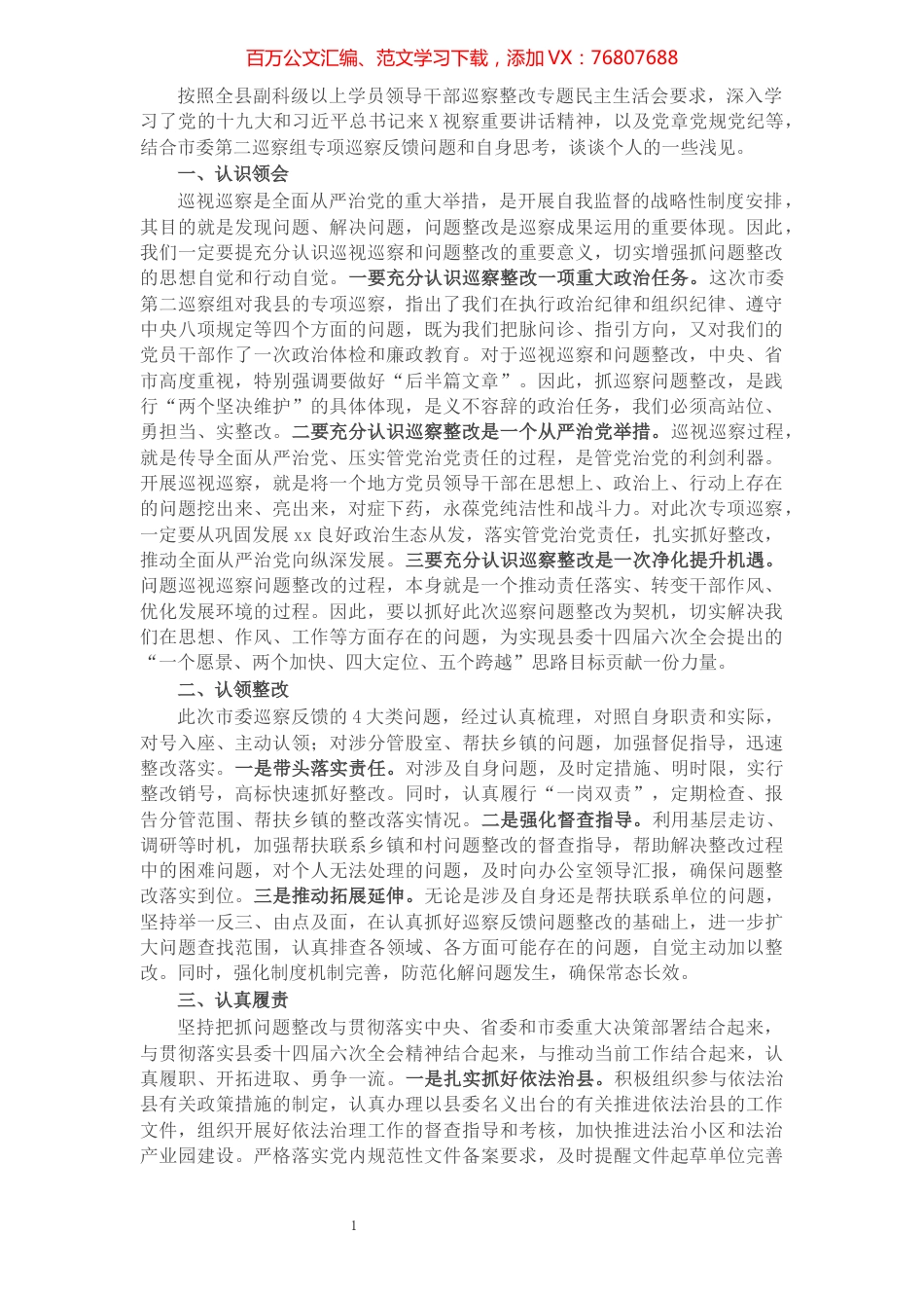 乡镇党委领导班子巡察整改专题民主生活会学习研讨发言.docx_第1页