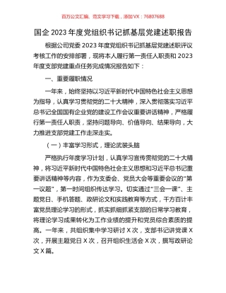 国企2023年度党组织书记抓基层党建述职报告.docx