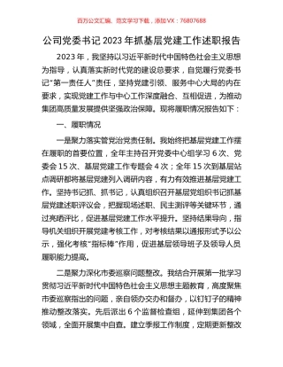 公司党委书记2023年抓基层党建工作述职报告.docx