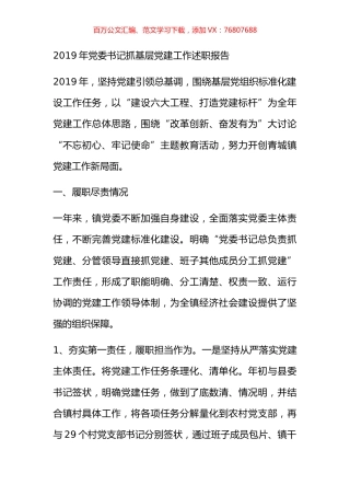 2019年党委书记抓基层党建工作述职报告.docx