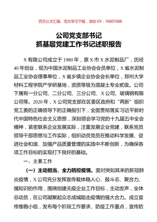 公司党支部书记抓基层党建工作书记述职报告.docx