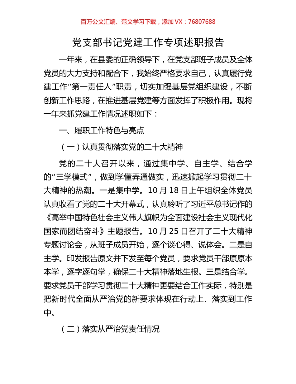 党支部书记党建工作专项述职报告.docx_第1页