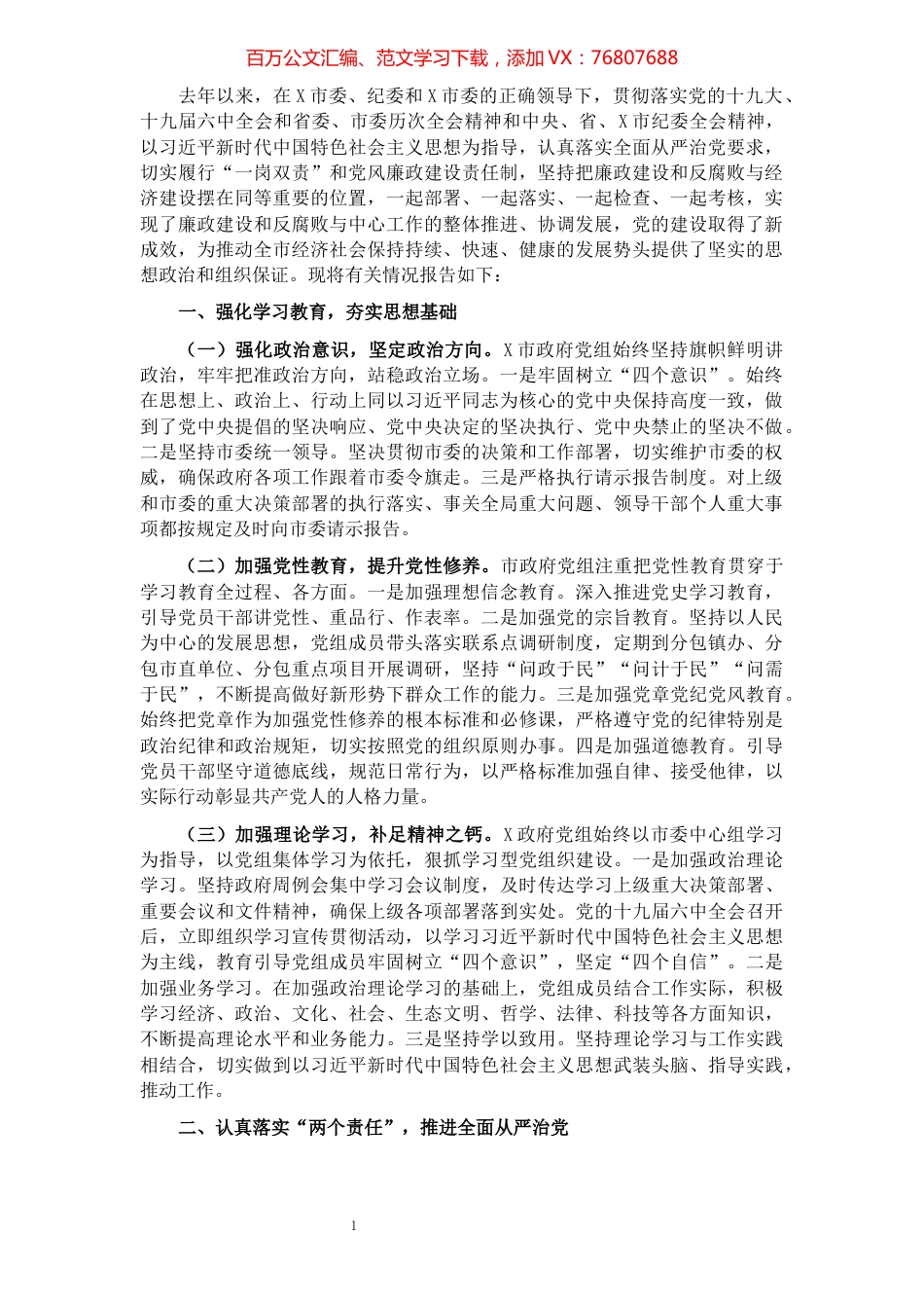 市人民政府党组述责述廉报告.docx_第1页