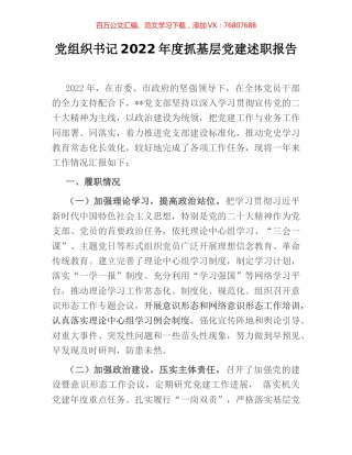 党组织书记2022年度抓基层党建述职报告.docx